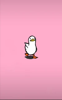 animal, duck, meme wallpaper