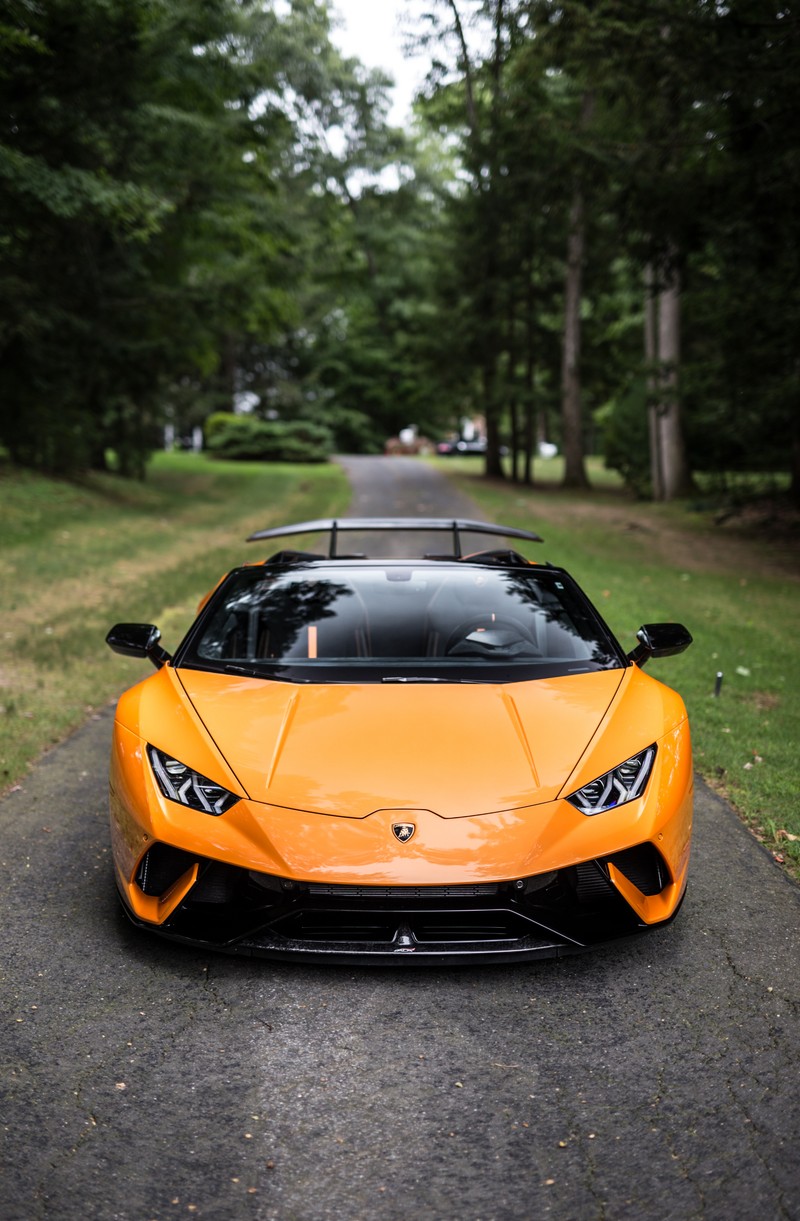 Крупный план автомобиля, припаркованного на дороге рядом с лесом (машины, huracan, lamborghini, производительный, суперкары)