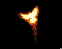 Fiery Phoenix Rising from Darkness