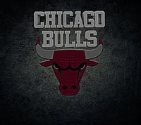 Chicago Bulls Logo on Textured Background