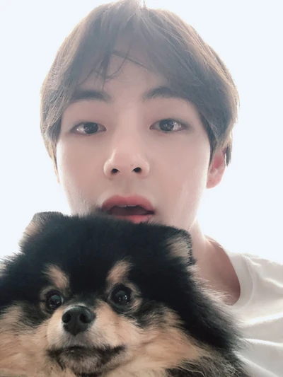 El dulce momento de Taehyung con un compañero Pomerania