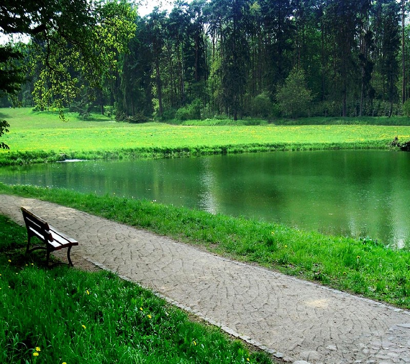 There is a bench sitting on the side of a path next to a lake (nature)