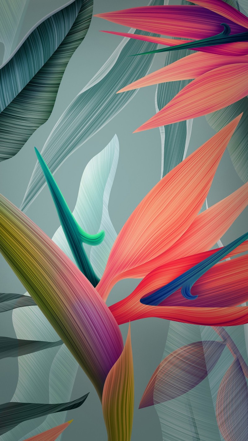 There is a picture of a bird of paradise plant with many leaves (abstract flowers, flowers, nature)