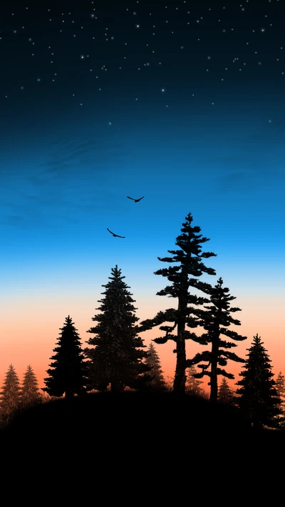 Evening Silhouettes: Birds Flying Over a Sunset Forest