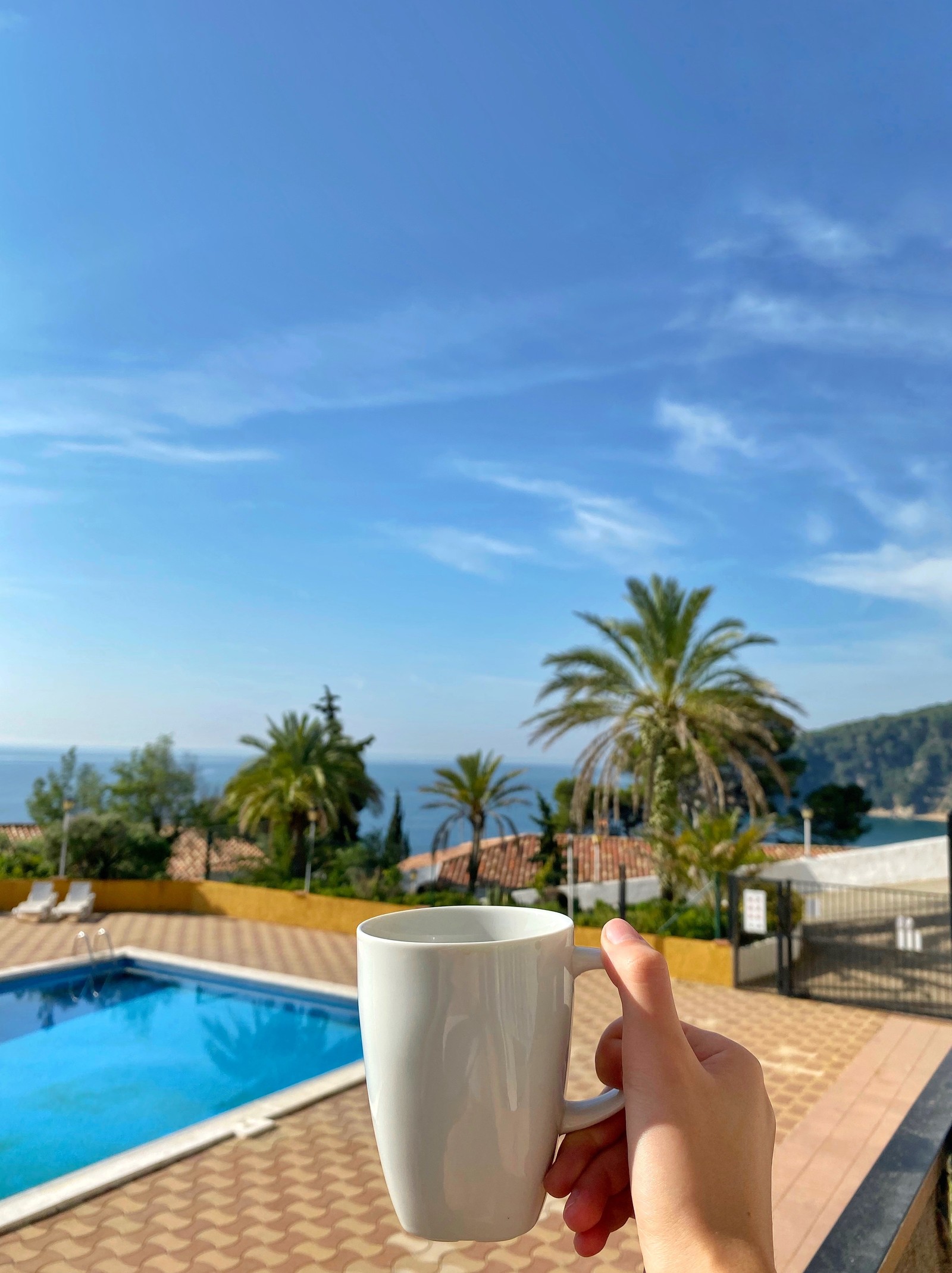 Quelqu'un tenant une tasse de café devant une piscine (piscine, palmiers, immobilier, azur, aqua)