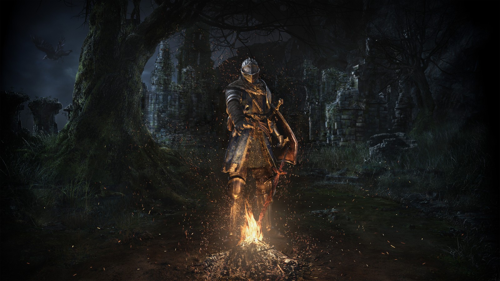 A man in armor standing in front of a fire in a forest (dark souls, bonfire, game poster, knight, games)