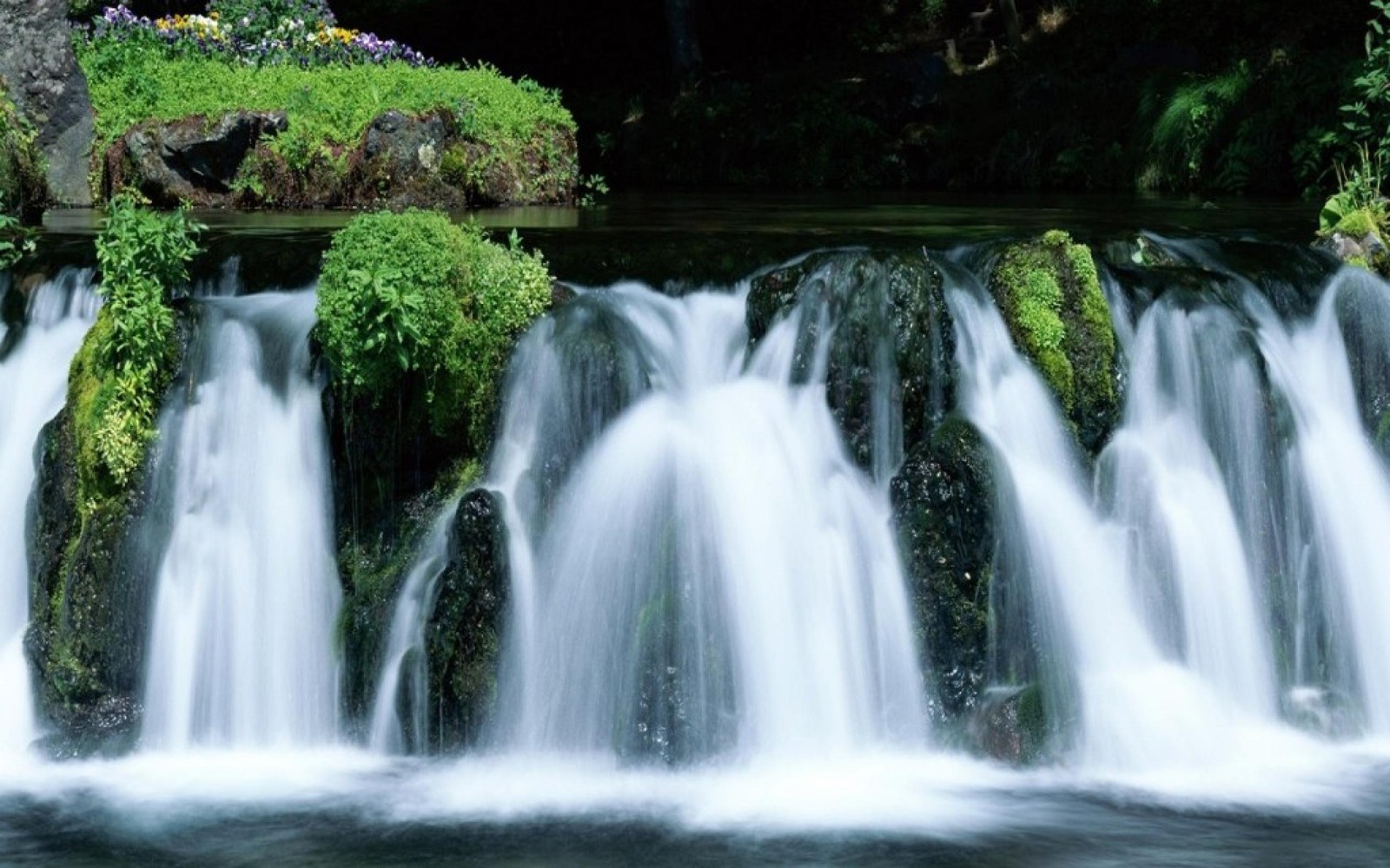 Cascada con musgo creciendo en las rocas y agua fluyendo hacia abajo (naturaleza, cascada, recursos hídricos, cuerpo de agua, agua)