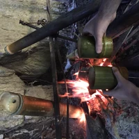 Cocinar en la naturaleza: bambú y fuego en un entorno boscoso