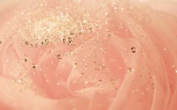 Nahaufnahme eines zarten rosa Rosenblattes, verziert mit schimmerndem Glitzer und Wassertropfen, das Schönheit und Eleganz ausstrahlt.