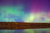 Lebendiger Aurora-Himmel spiegelt sich über einem ruhigen Waldfluss