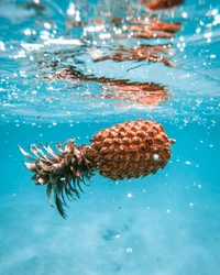 Piña flotante bajo el agua en agua azul clara