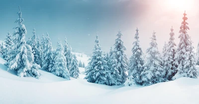 Bosque de abetos cubierto de nieve bajo un cielo invernal