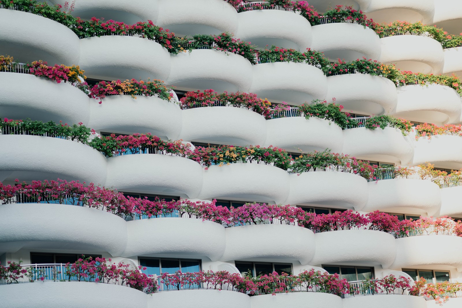 Araffes of flowers on balconies on a building (architecture, building, pink, pattern, living room)