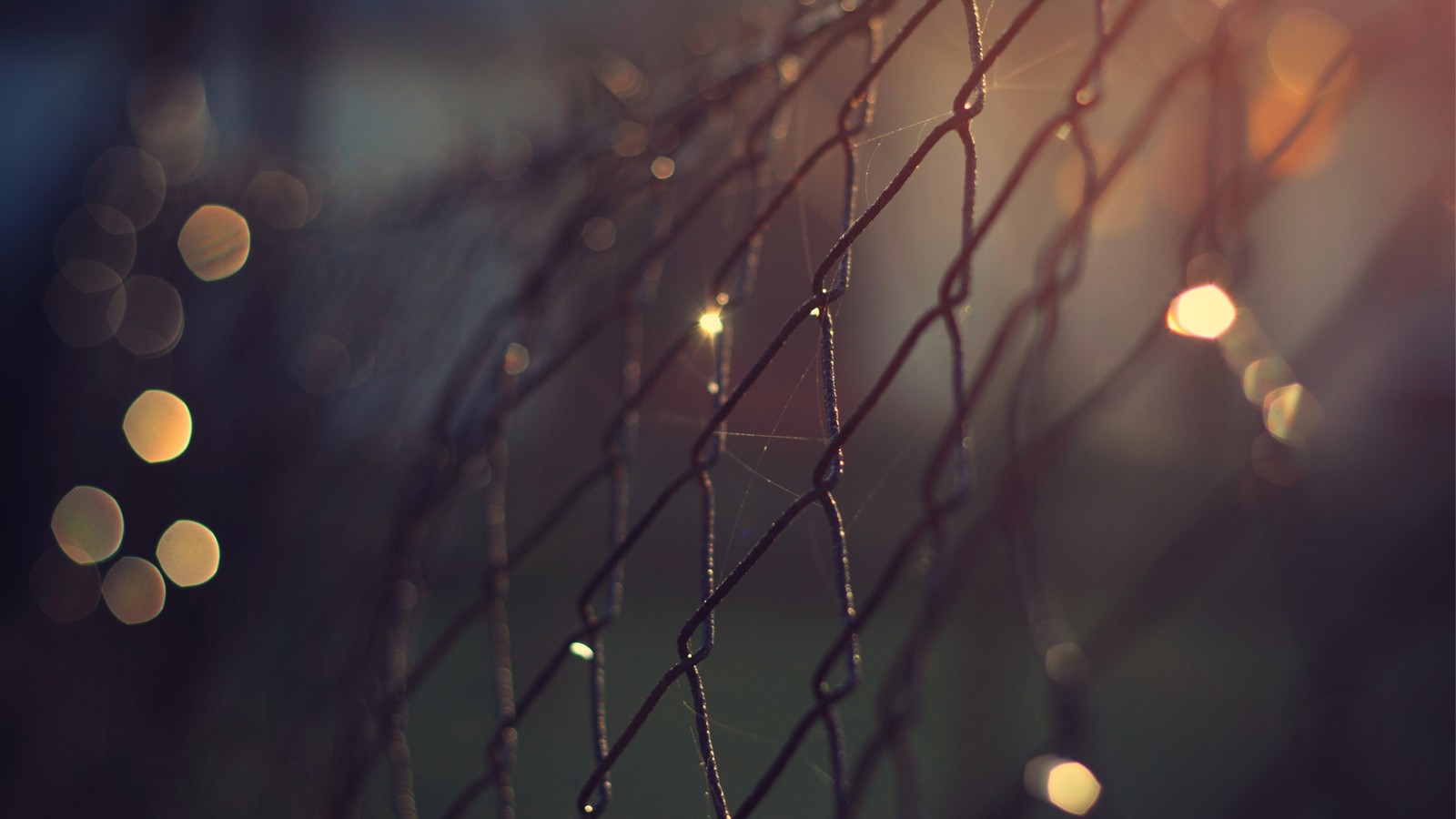 Eine nahaufnahme eines kettenzauns mit wassertropfen darauf (schärfentiefe, bokeh, wasser, zweig, licht)