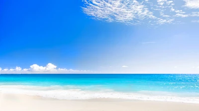 Playa caribeña vibrante con cielo azul claro y suaves olas