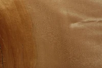 Texture de bois couleur caramel avec un riche détail de grain