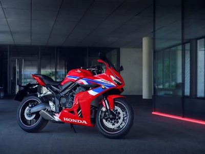 2024 Honda CBR650R : Une moto sportive de tourisme audacieuse en rouge et bleu éblouissants