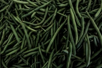 Haricots verts frais prêts pour des délices culinaires