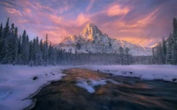 Serene Winter Dawn Over Banff National Park