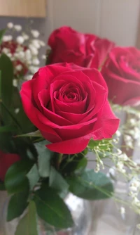 Roses rouges élégantes : un symbole d'amour