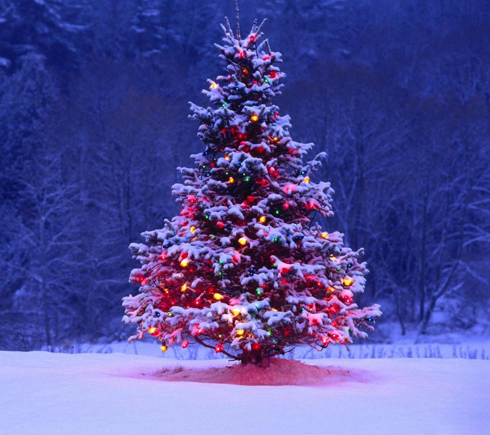 christmas, happy, merry, new, new year Download Wallpaper