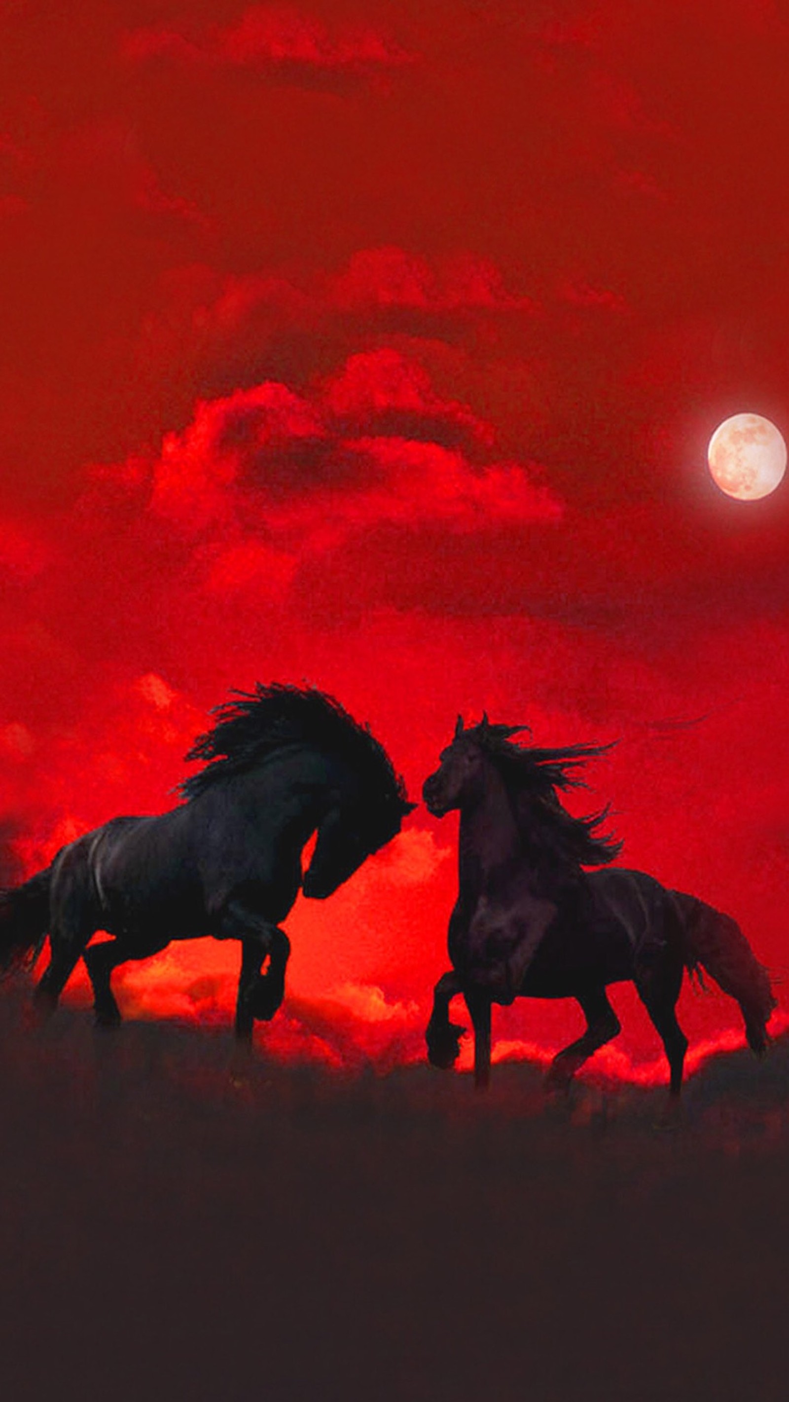 Caballos corriendo al atardecer con un cielo rojo y nubes (caballos, salvaje)