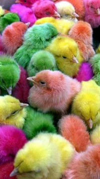 chicks, cute, easter wallpaper