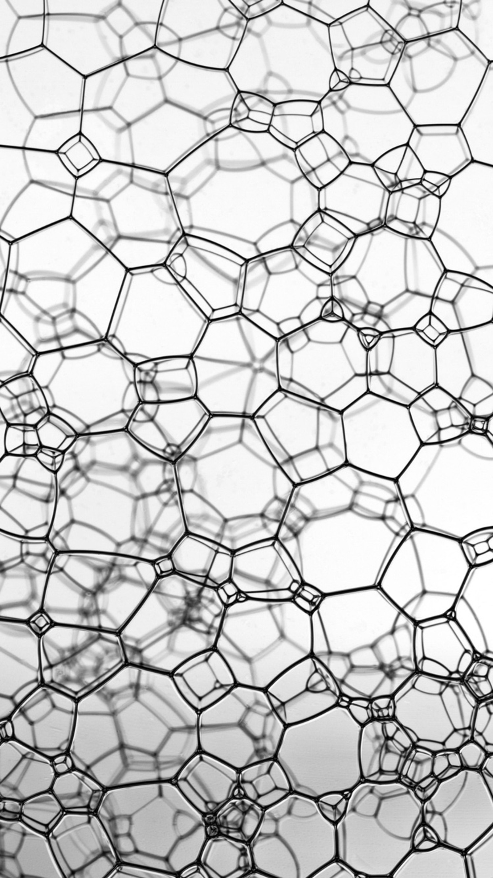 A close up of a black and white photo of a bunch of wires (abstract, bubbles, foam, texture, white)