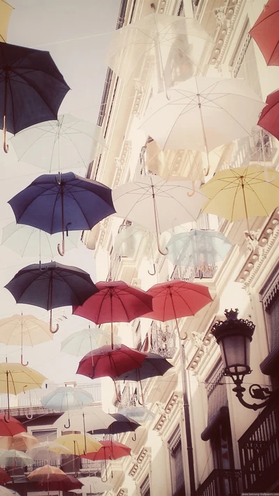 Colorful umbrellas suspended over a quaint street, casting playful shadows against the building.