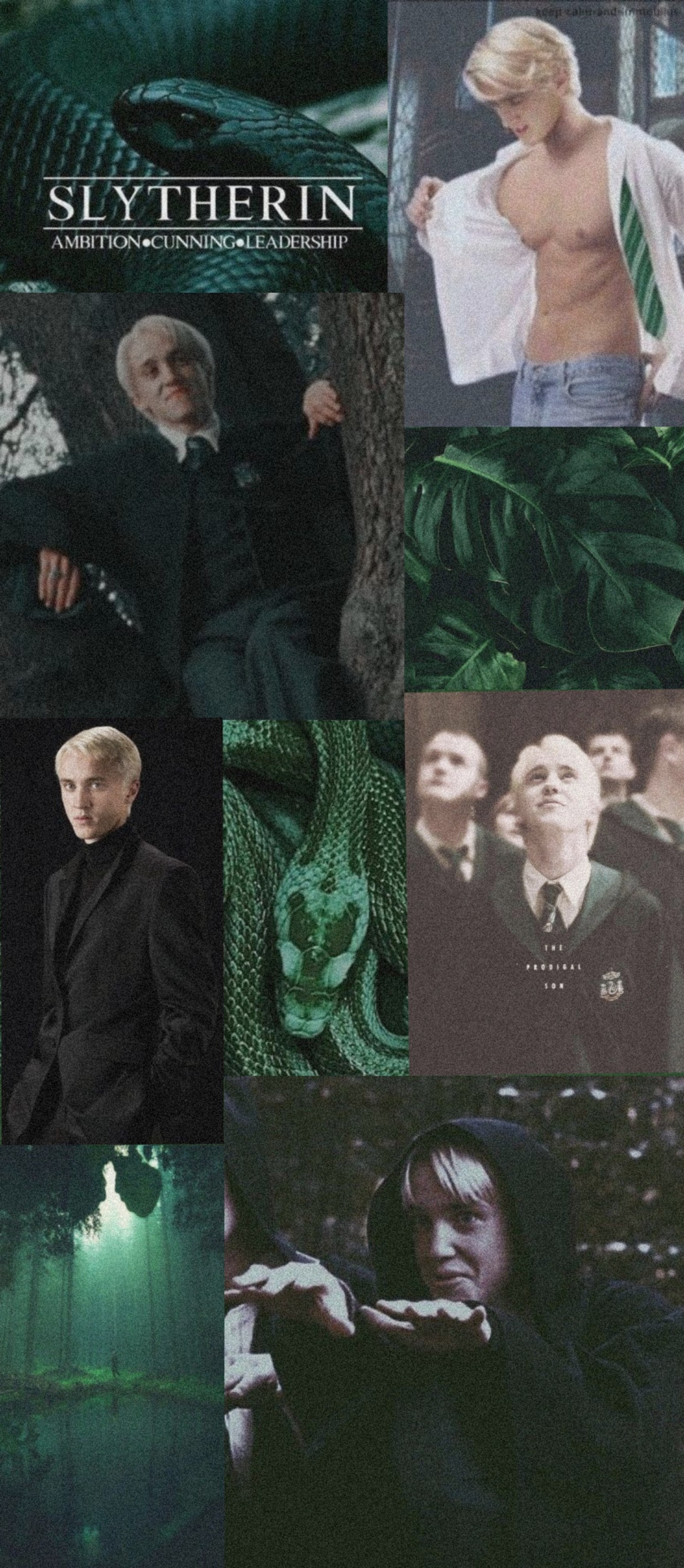 Скачать обои слизерин, slytherin, том фелтон