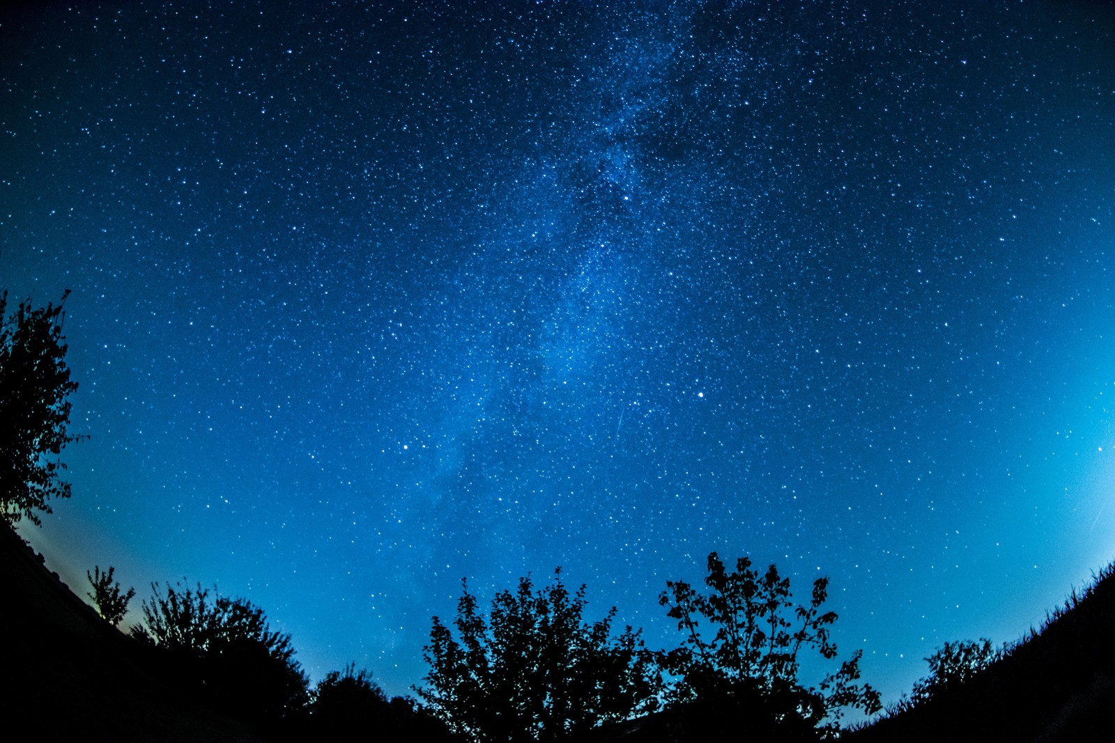 Uma vista do céu noturno com estrelas e árvores em primeiro plano (via láctea, estrelas)