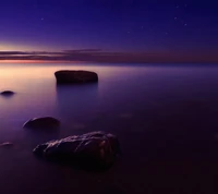 roxo, purple lake