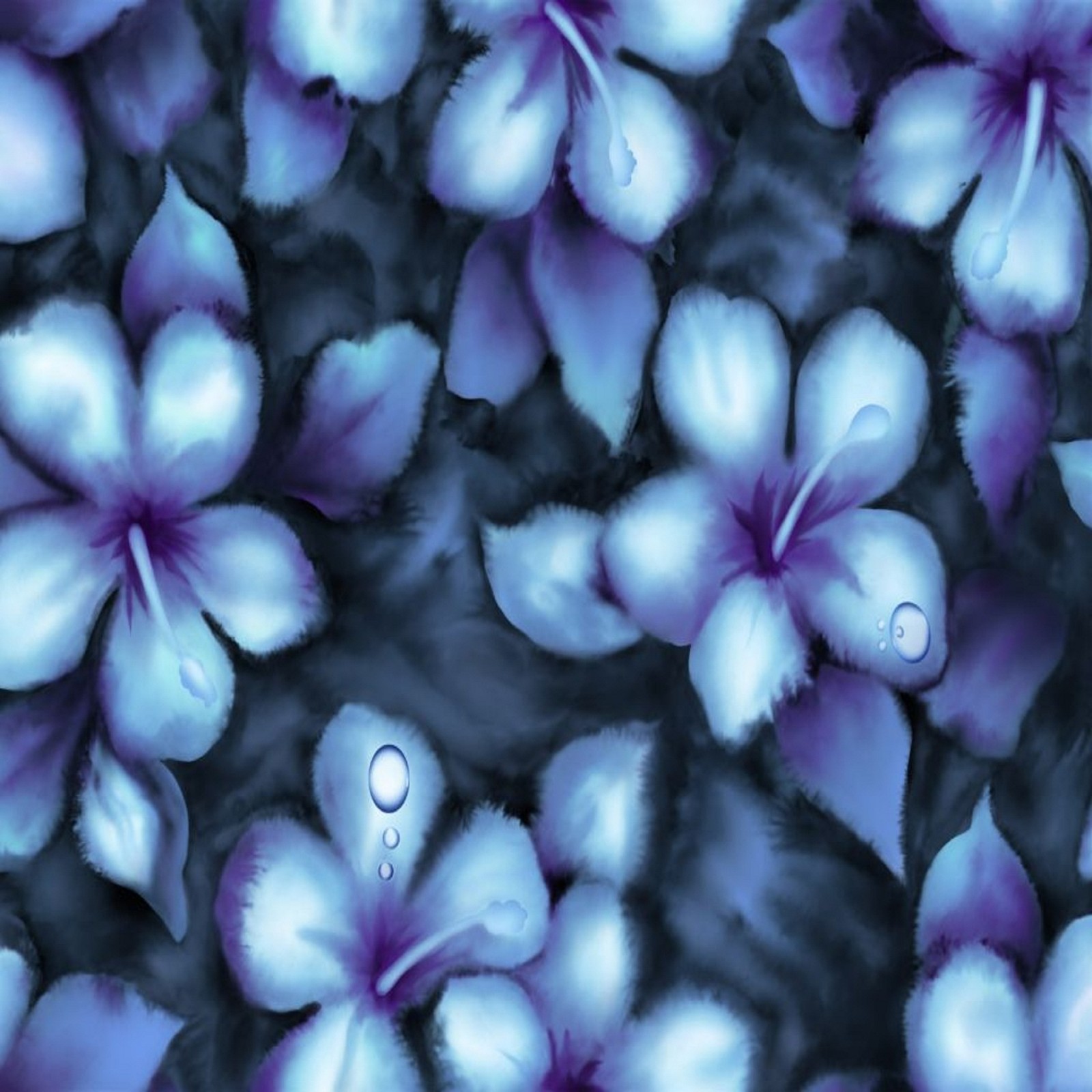 Des fleurs violettes avec des gouttes d'eau sur elles dans un champ (bleu, fleurs)