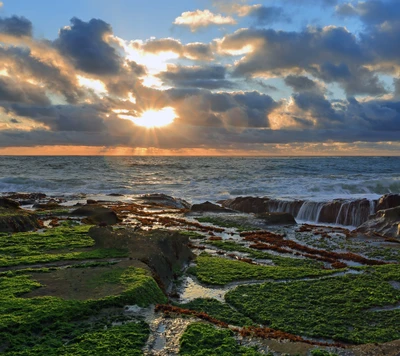 Atardecer sobre la costa rocosa con olas del océano y vegetación exuberante