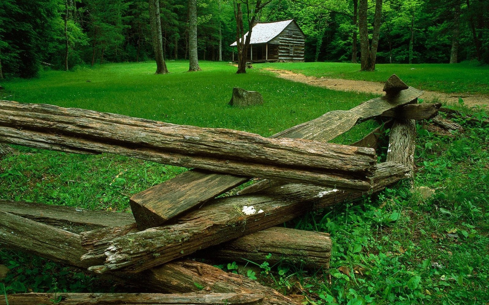 Arafed log fence in front of a log cabin in the woods (tree, nature reserve, forest, old growth forest, cades cove)