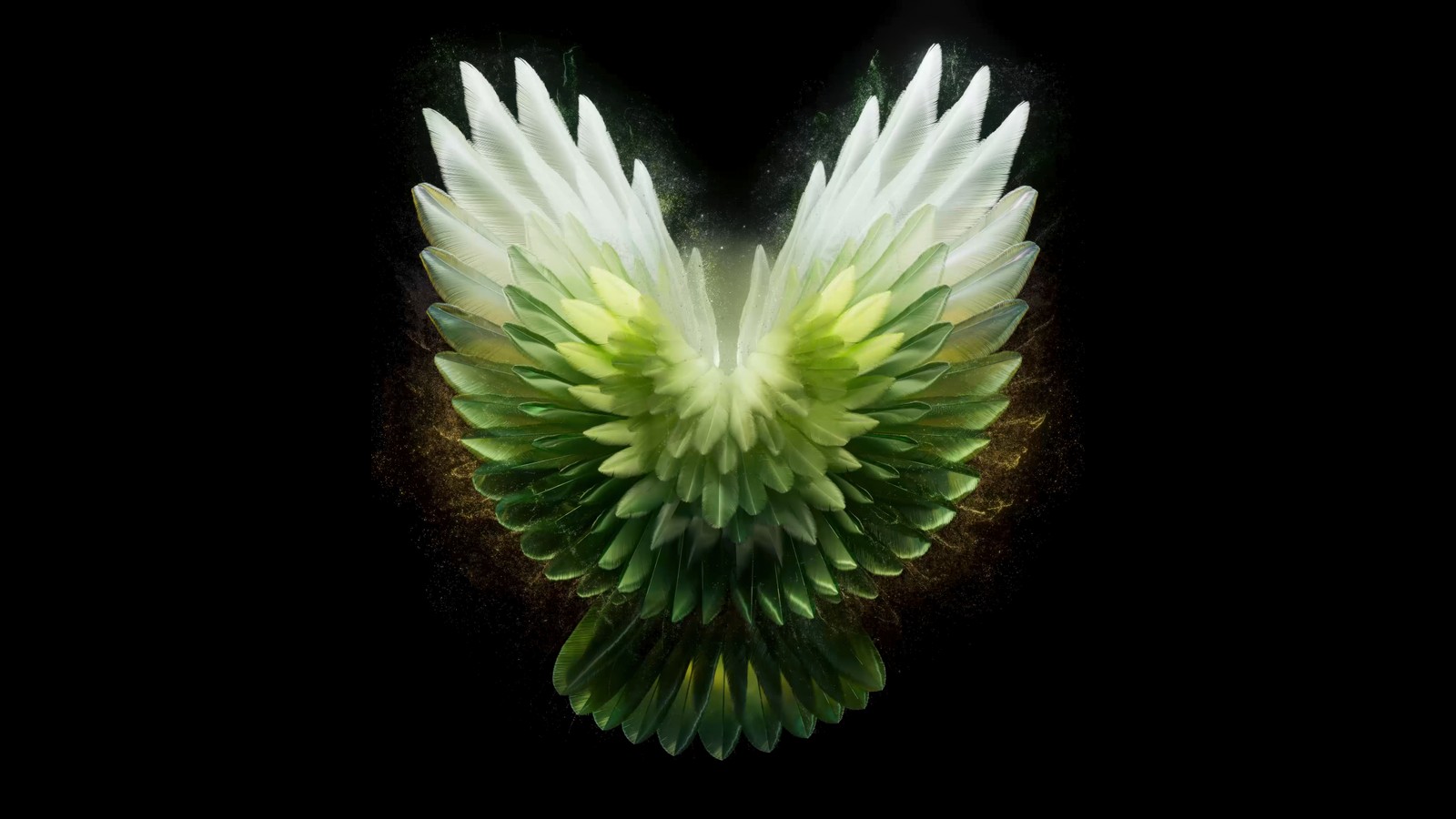 A close up of a green and white flower with a black background (angel wings, green aesthetic, tecno phantom v fold 2 stock, black background, amoled)