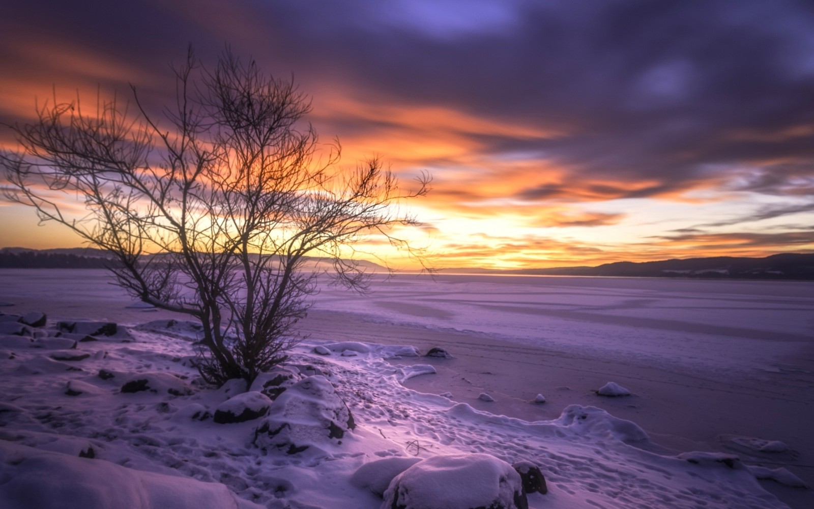 Un árbol en la nieve con un atardecer de fondo (noruega, nube, atmósfera, planta, paisaje natural)