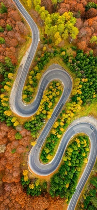 Estrada curva cercada por cores de outono e uma paisagem exuberante