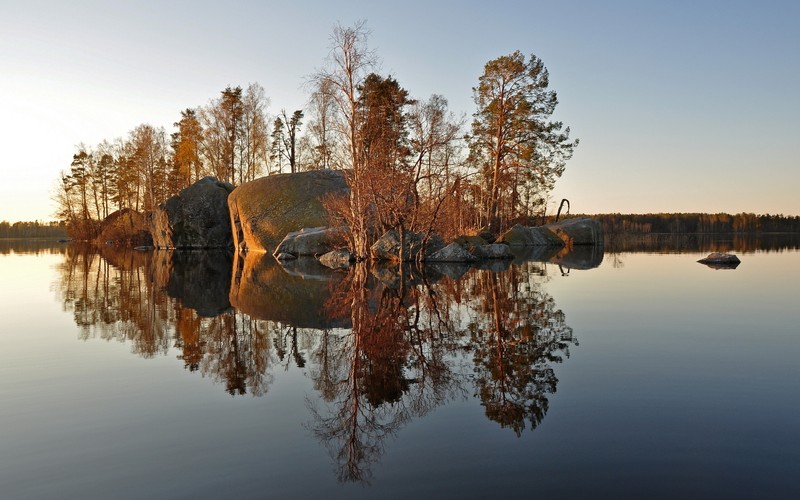 Деревья отражаются в спокойной воде озера (отражение, вода, дерево, утро, озеро)