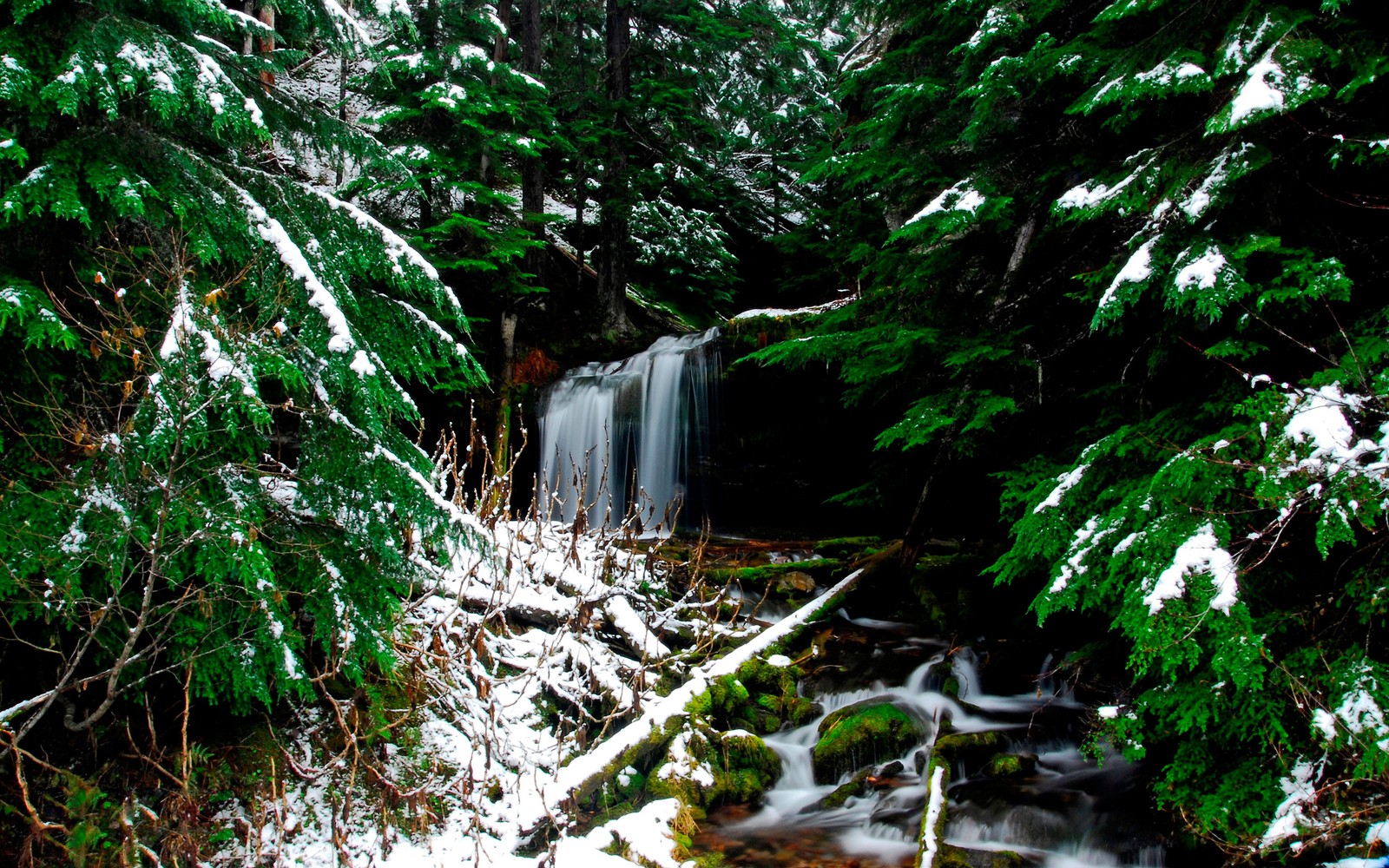 Arabischer wasserfall im wald mit schnee auf dem boden (gewässer, natur, vegetation, wasser, naturschutzgebiet)