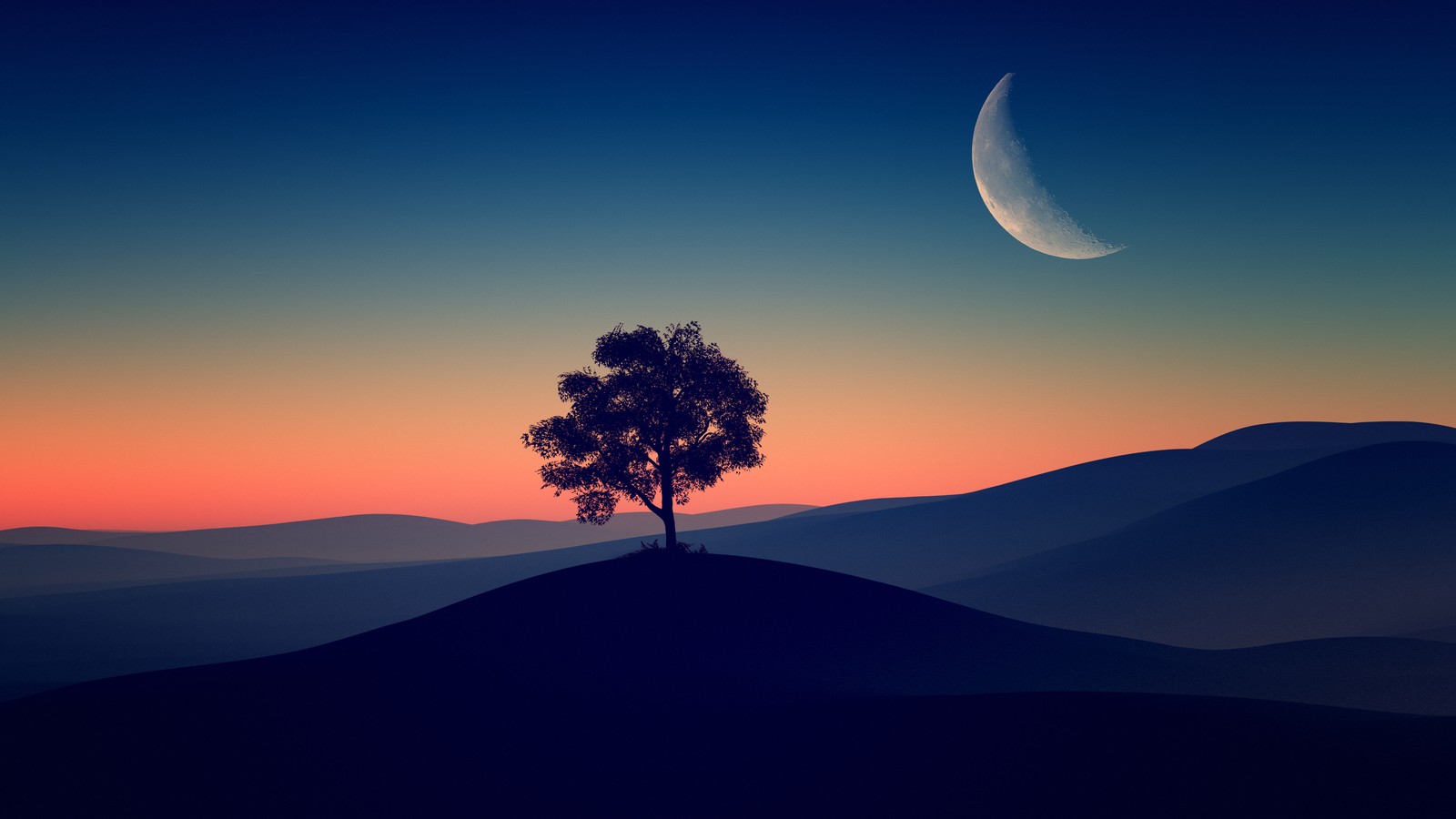 solitude tree, crescent moon, silhouette, sunset, dusk wallpaper