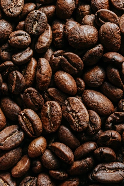 Grãos de café premium: uma rica coleção de variedades Jamaican Blue Mountain e Kona