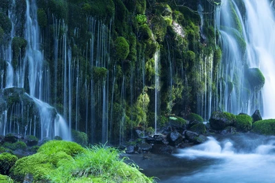 cachoeira, mural, recursos hídricos, corpo de água, natureza