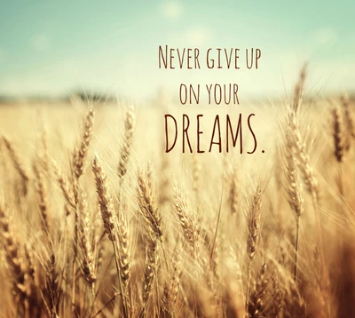 Never Give Up on Your Dreams: A Wheat Field Inspiration