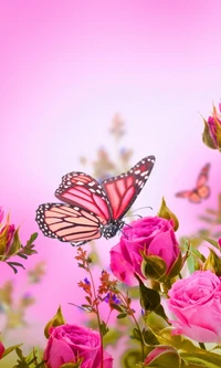 beautiful pink, butterflies, love, romance, roses wallpaper