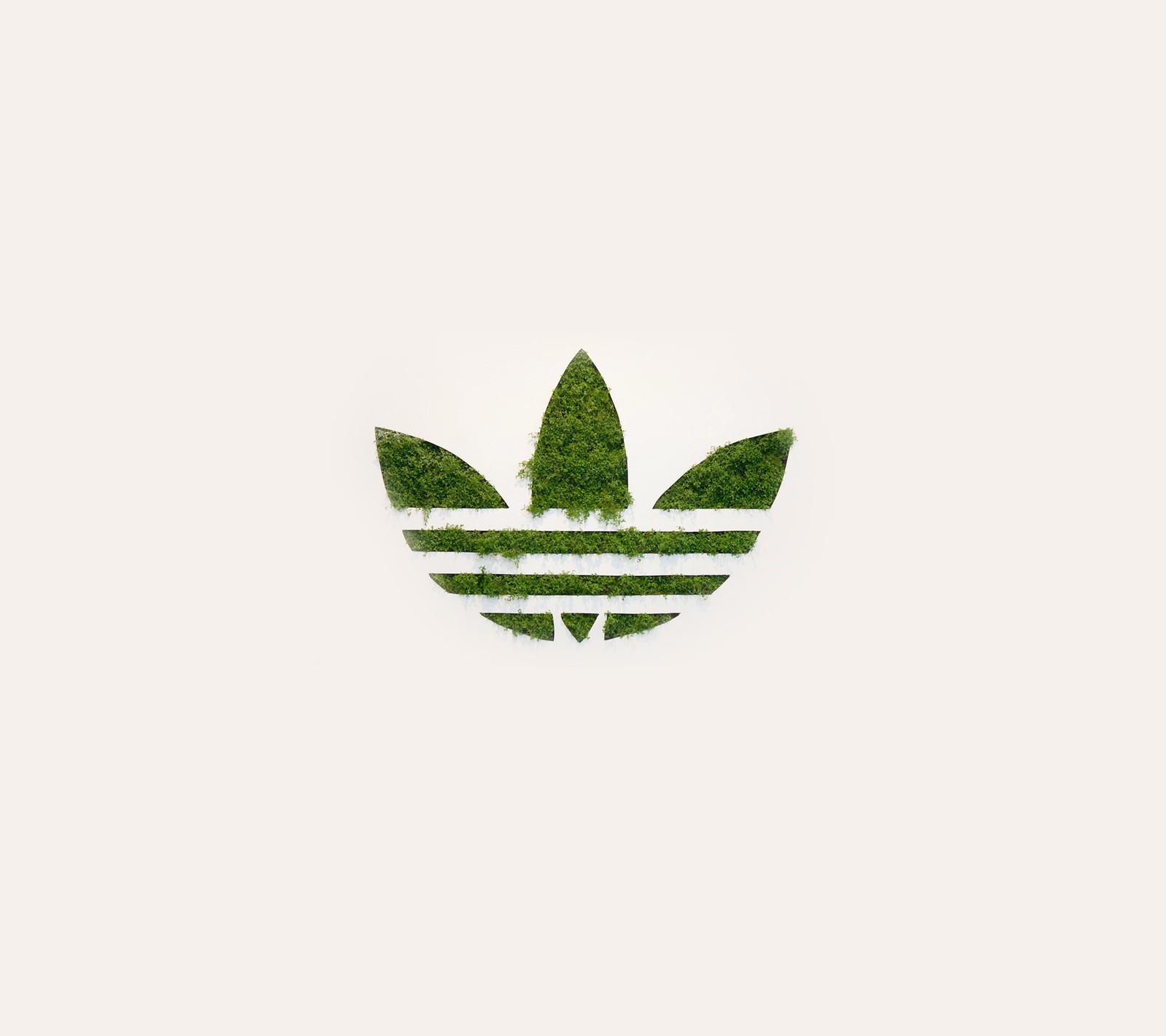 A close up of a green leaf on a white background (adidas, brand, logo, originals, sport)