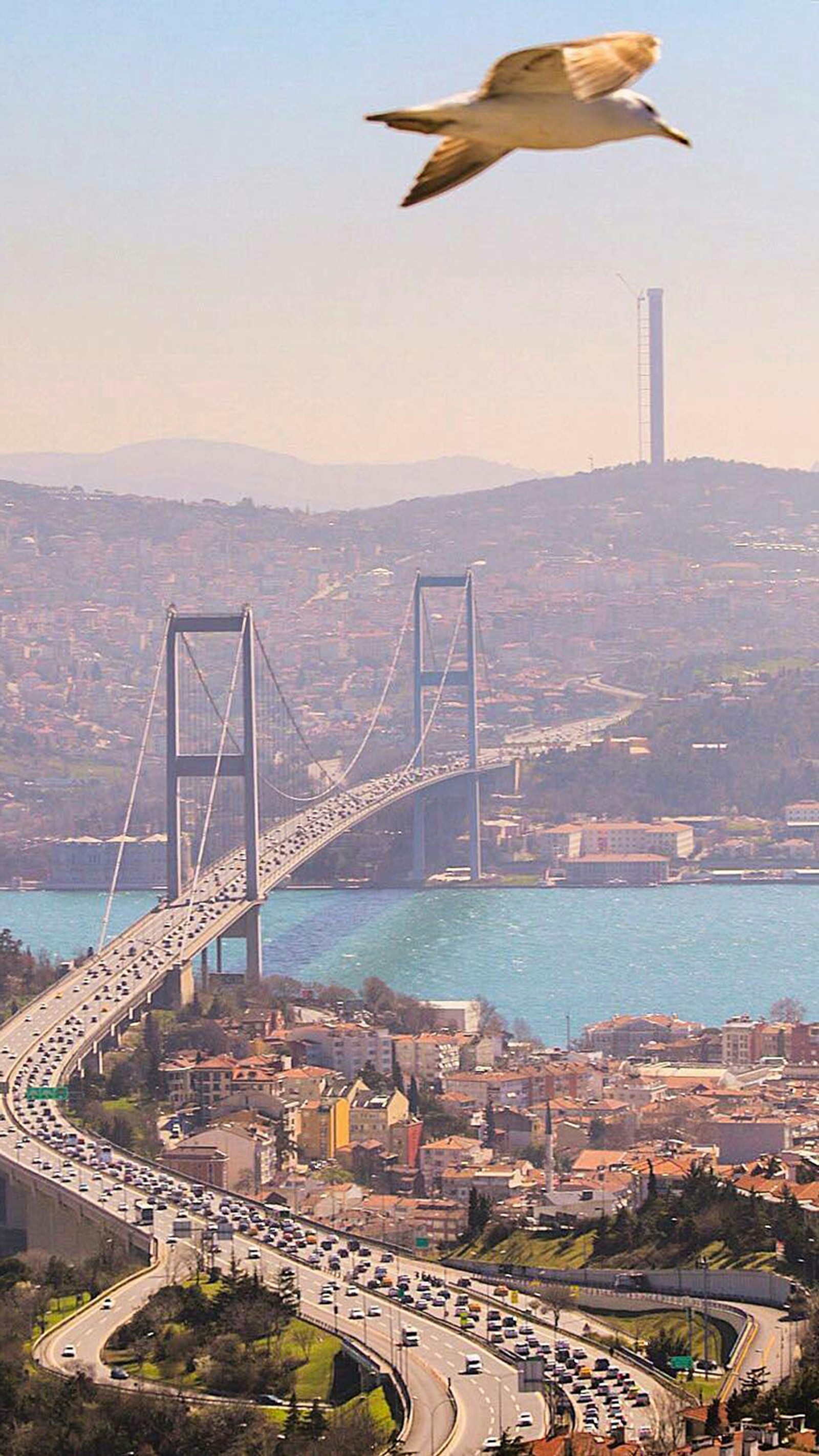 Avion arabe volant au-dessus d'une ville avec un pont et un grand plan d'eau (istanbul, dinde)