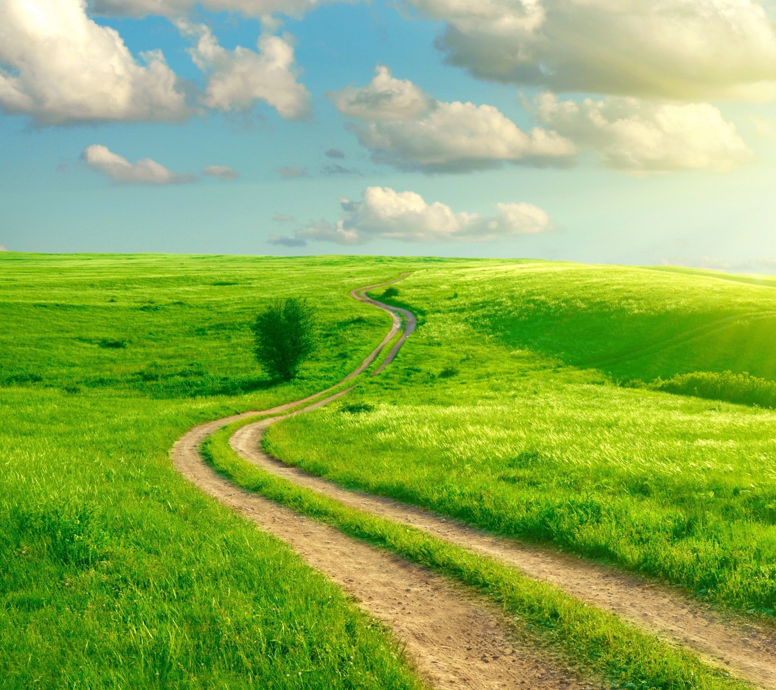 Un chemin de terre traversant un champ vert avec un arbre (ciel bleu, nuages, champ, herbe, vert)