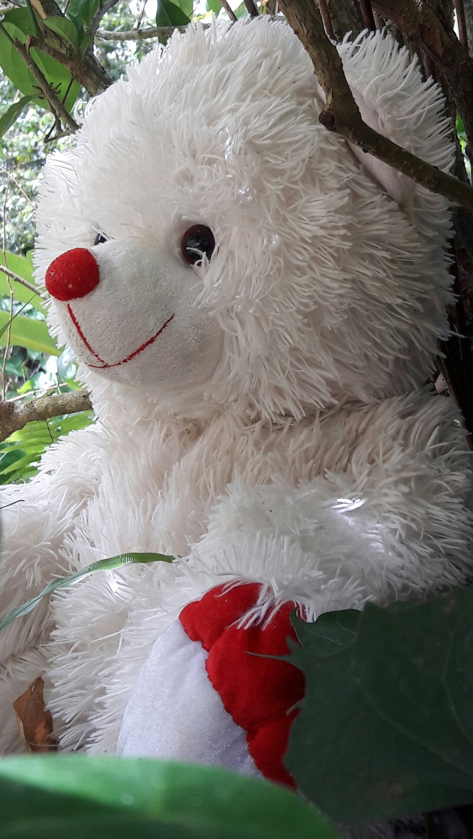 Un oso de peluche blanco sentado en los arbustos (lindo, verde, naturaleza, rojo, sonrisa)