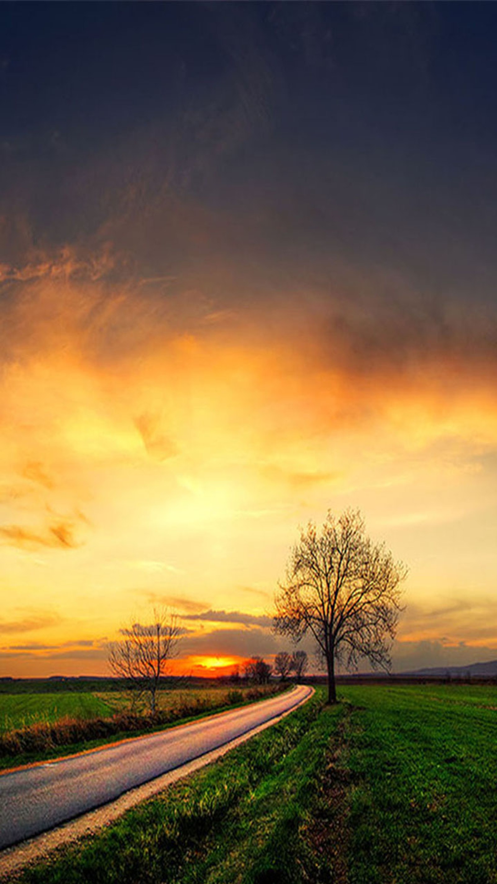 Pôr do sol sobre uma estrada rural com uma árvore solitária ao lado (estrada, lado)